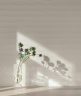 3D Experience/3D Экспириенс