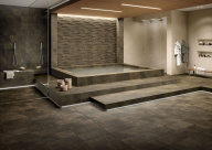 Genesis/Дженезис