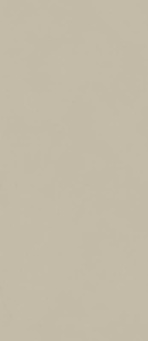 Форум Слим Дезерт 120x278