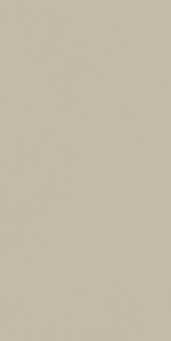 Форум Слим Дезерт 60x120