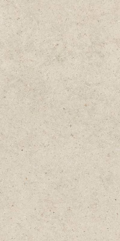 Форум Стоун Пьюр 60x120