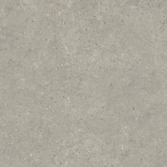 Керамогранит Статус Карбон Рет 80x80 (610010006206)