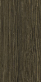 Керамогранит Серфейс Эрамоза 60x120 люкс (610015000386)