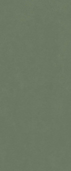 Настенная плитка Серфейс Форест Грин 50x120 Рет (600010002445)
