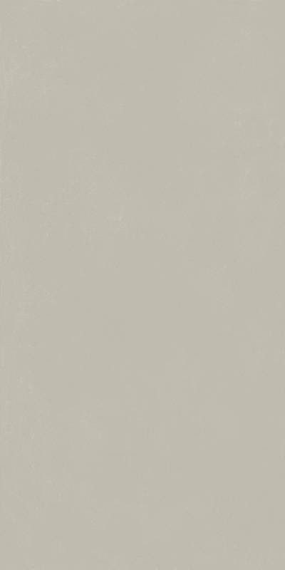 Форум Слим Сильвер 60x120